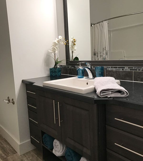 Deluxe Vanity with Stanza Sink and Zarina Faucet
